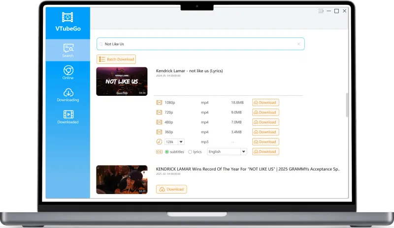 VTubeGo desktop app showing video and audio conversion options